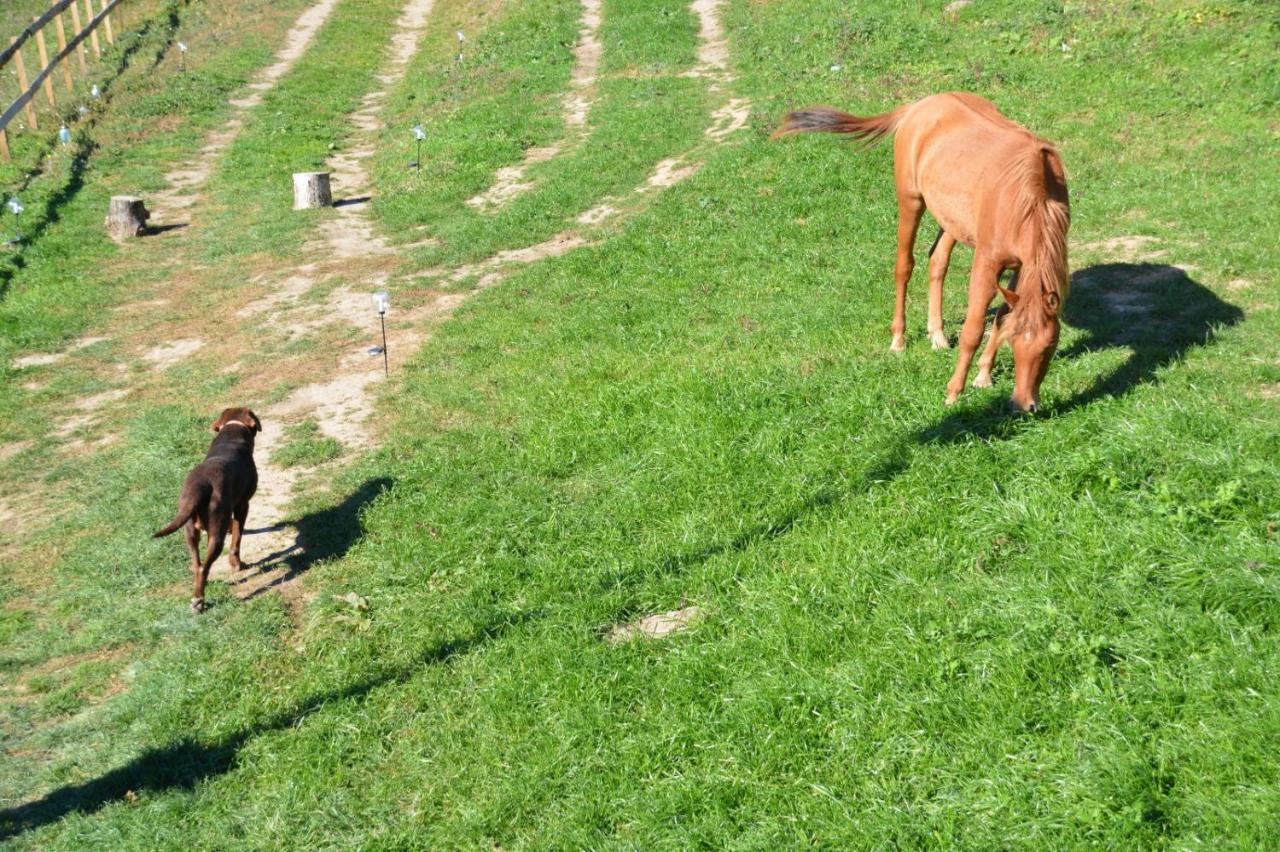 Casuta Mea Villa Piatra Neamţ Buitenkant foto