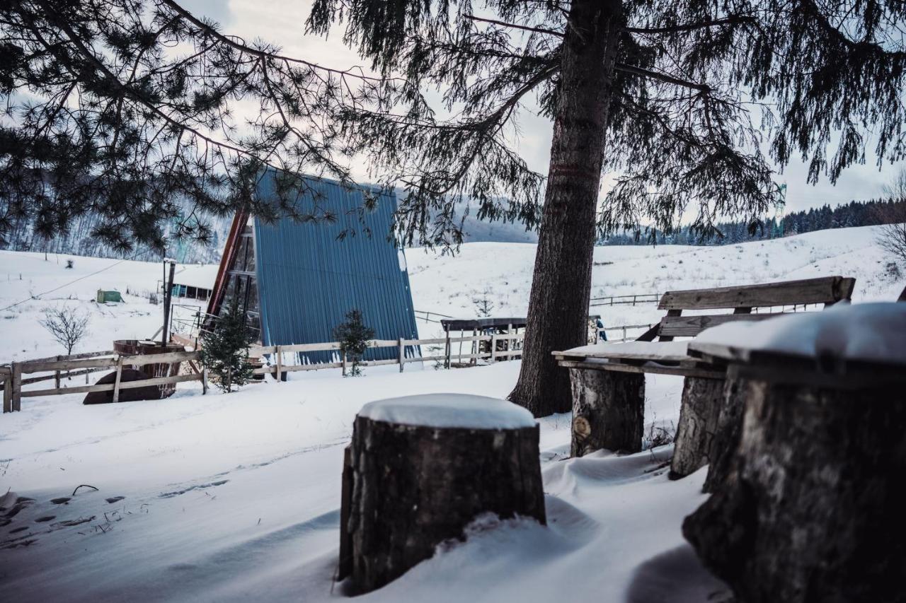 Casuta Mea Villa Piatra Neamţ Buitenkant foto